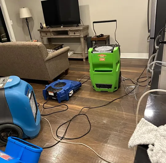 Professional moisture removal services preventing mold and water damage.