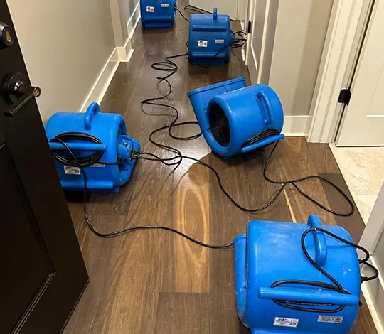 Emergency water damage cleanup prevents mold and structural issues.